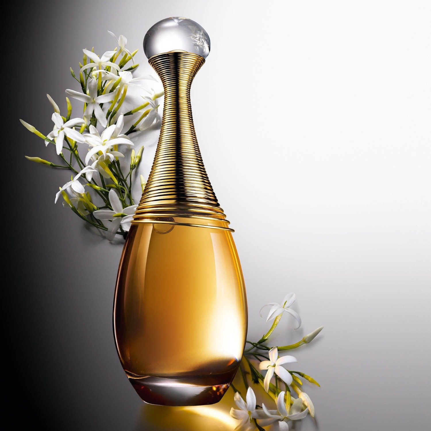 Reducido！Perfume de feromonas de año dorado de Argentina